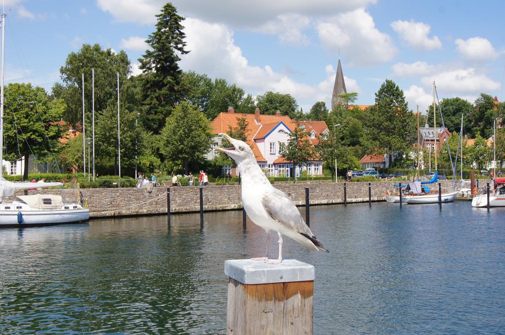 Ostsee Ferienhaeuser Waabs Стая снимка